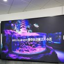 충주큰길약국 | 충주아쿠아리움 무료전시 주말 아이와 가볼만한곳 여행후기