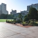 강남-163 이미지