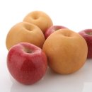 강화행복한행정사 사무소 이미지