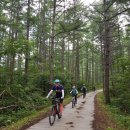 예미MTB마을호스텔 | [폭염 휴가 라이딩 ③] - 강원 예미MTB마을호스텔, 망경대산 만경사, 모운동, 산꼬라데이길, 자령치...