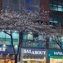센텀동로 102 네이버블로그
