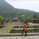 차화인 이미지