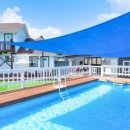 안면애견펜션프리독 이미지