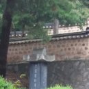 선충사 이미지