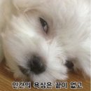 무인5 네이버블로그