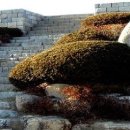 황령산순환도로 이미지