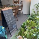 12/9 크리스마스 테라리움 이미지