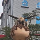 야생양봉원 이미지