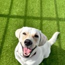 해운대유치원 이미지