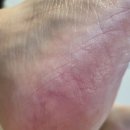로디Lee토탈뷰티&아카데미