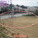 [국도21] 아산시 읍내리