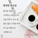 11월맞이! 추억의 행복나무 배달왔어요 / 용설란 이미지