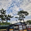 송라 아쿠아 이미지