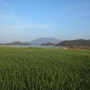 보라목장 이미지