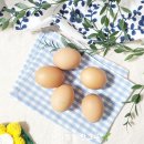 (주)해밀유통 | 구운계란 칼로리 보관 유통기한 영양성분 단백질 함량...한 구운계란 맛 가격 솔직후기 다이어트 간식추천