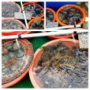 하나된우리 | 바다 위에서 썰매를 타듯 배가 간다 홍도흑산도