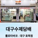 롤로타바코 이미지