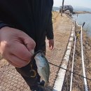 성주소류지 이미지