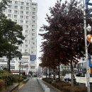 라엘르마곡 산후조리원 주식회사 | 강서구 산후조리원 상담 후기 - 발산 마곡 라엘르