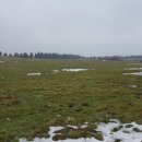 애향목장 이미지