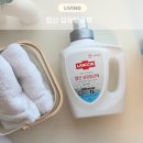 첨담기업3로2L-3 | 랩신 섬유항균제 소독 섬유유연제 2L용기+2L파우치 증정! 빨래에서 냄새난다면 꼭 써보세요