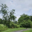 크리스탈 골프클럽 | [골프] 크리스탈 스프링스 와일드 터키(Wild Turkey) 골프 클럽 라운딩 후기