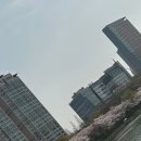 계절의 향기 이미지