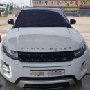 명품손세차 이미지
