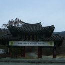 옥과 성륜사주차장 Daum카페