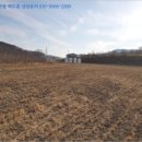 하촌3리 이미지