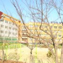 대청중학교 네이버블로그