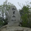솔향약국 Daum카페