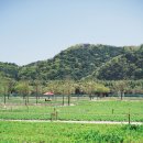 태화강 국가정원 코스 이미지