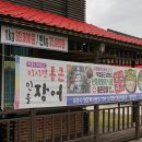 미시령통큰민물장어 이미지