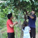 지리산에서의 하루 이미지