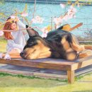 서정적 풍경 이미지