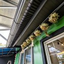 아4리_마을회관 이미지