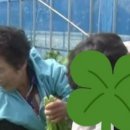 가장농장 이미지