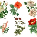 그린행정사 이미지