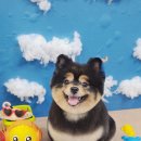 보리미용실 - 관악구 | 보리미용실
