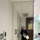 홍춘당구클럽 | [홍콩/마카오] 여자 혼자 연말 홍콩여행 4일차✈️-초이홍아파트/찻잔선물/구룡공원