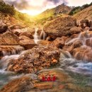 한국 비자 행정사 이미지