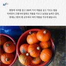 삼일농장 | 四字成語 총정리 &lt;ㄱ&gt; 490 고래지풍~고려공사삼일
