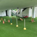 평생 사랑해 줄 개 애견펜션1 이미지