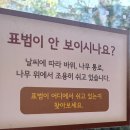 간식열차 | 서울대공원 동물원 / 코끼리열차 / 리프트 이용 후기 🌸벚꽃 시즌 방문🌸