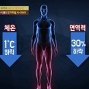 면역력 떨어지는 이유 및 대책 이미지