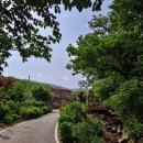 회룡대 별장펜션 이미지