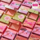 배내피트 이미지