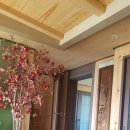 뜨레모아 이미지