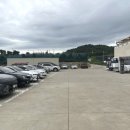 개들랜드 이미지